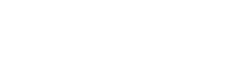 ariostea