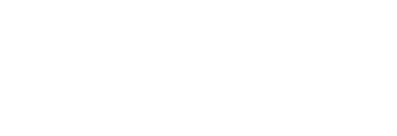 dedon