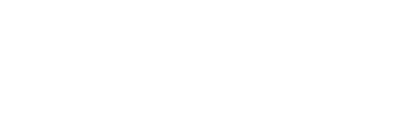 minotti_1