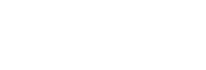 visionaire