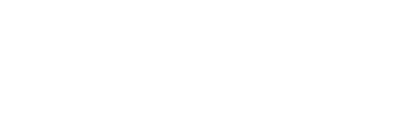 visionaire